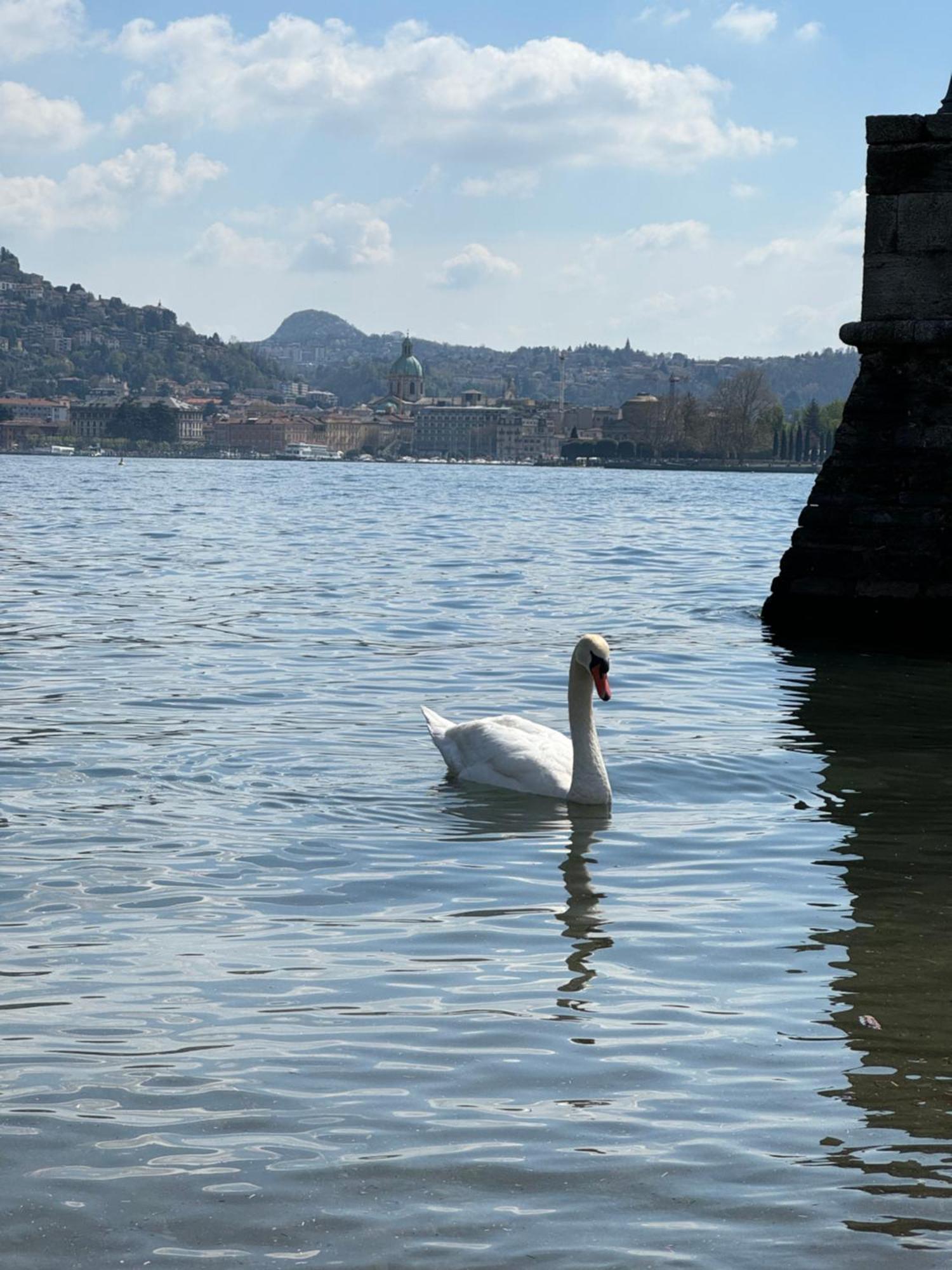 Portatorre Suite, A Charming Apartment In The Heart Of Como, Free Private Parking, Air Conditioning & More! Dış mekan fotoğraf